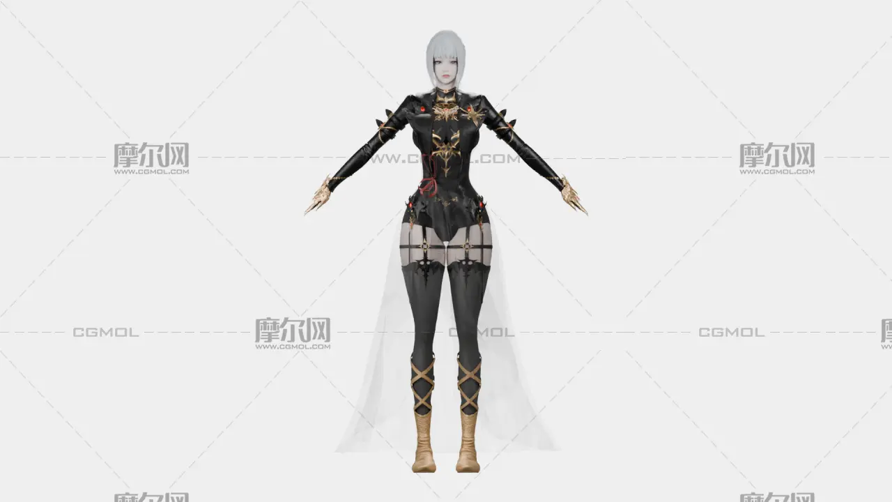 银发黑金幻想女性角色,带骨骼绑定,多格式
