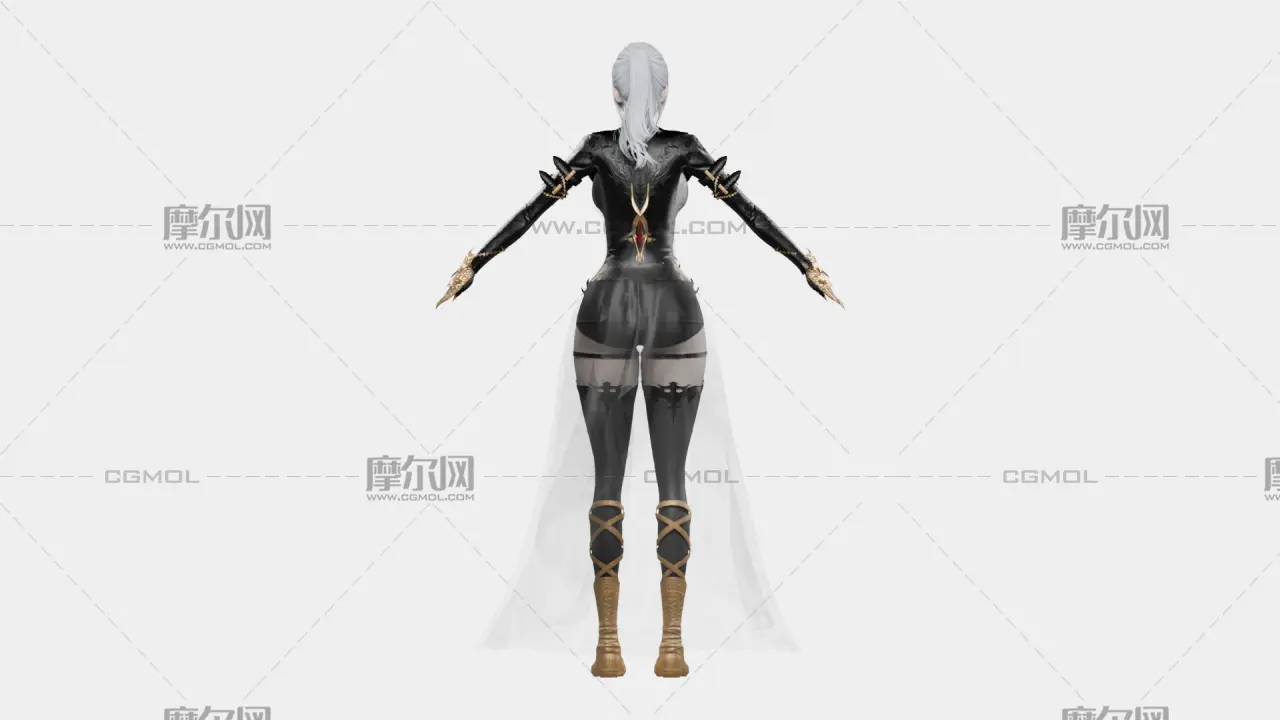 银发黑金幻想女性角色,带骨骼绑定,多格式