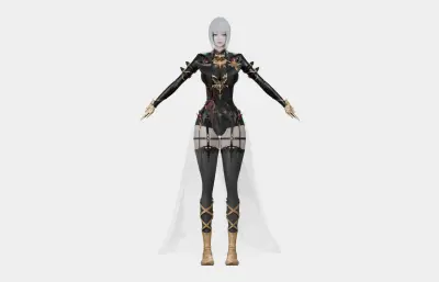 银发黑金幻想女性角色,带骨骼绑定,多格式