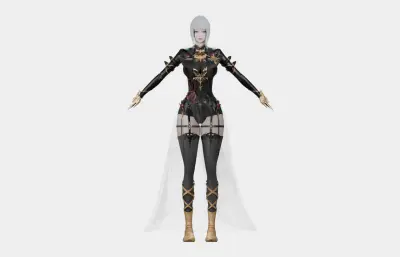 银发黑金幻想女性角色,带骨骼绑定,多格式